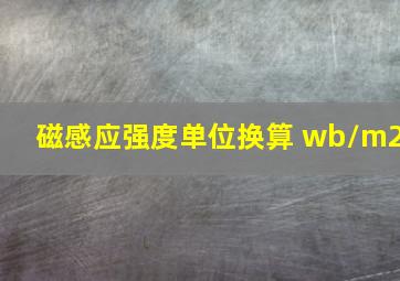 磁感应强度单位换算 wb/m2